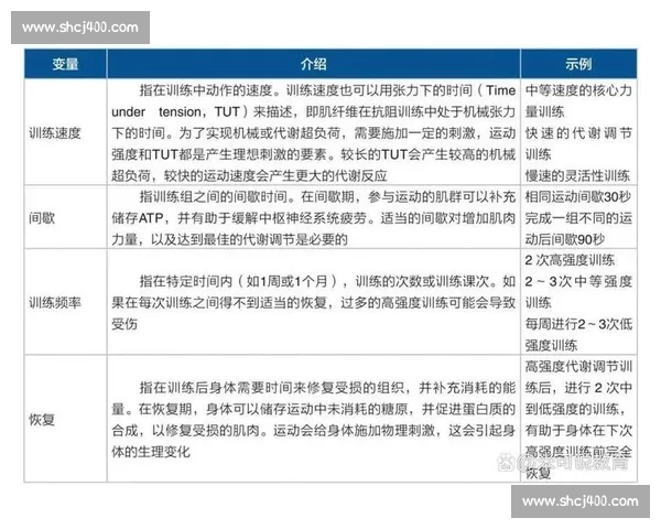 体育理论视角下运动表现优化与科学训练策略研究